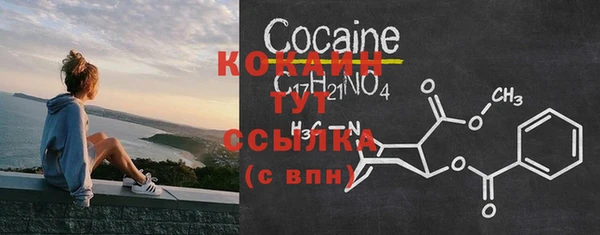 стафф Дмитров