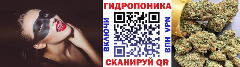 Бошки Шишки индика  купить наркоту  Морозовск 